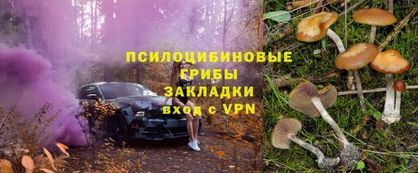 прущая мука Богданович