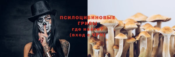 прущая мука Богданович
