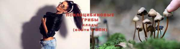 метадон Богородицк