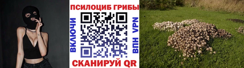 Псилоцибиновые грибы GOLDEN TEACHER  Мичуринск 